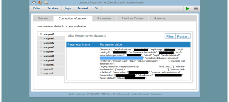 Requesting a Webrunner with ERP5 - SlapOS Webrunner Services Partition Parameters